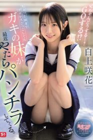 SONE-732 Digoda Adik Sendiri – Emika Shirakami – Idlix21